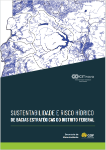 E-book em Português