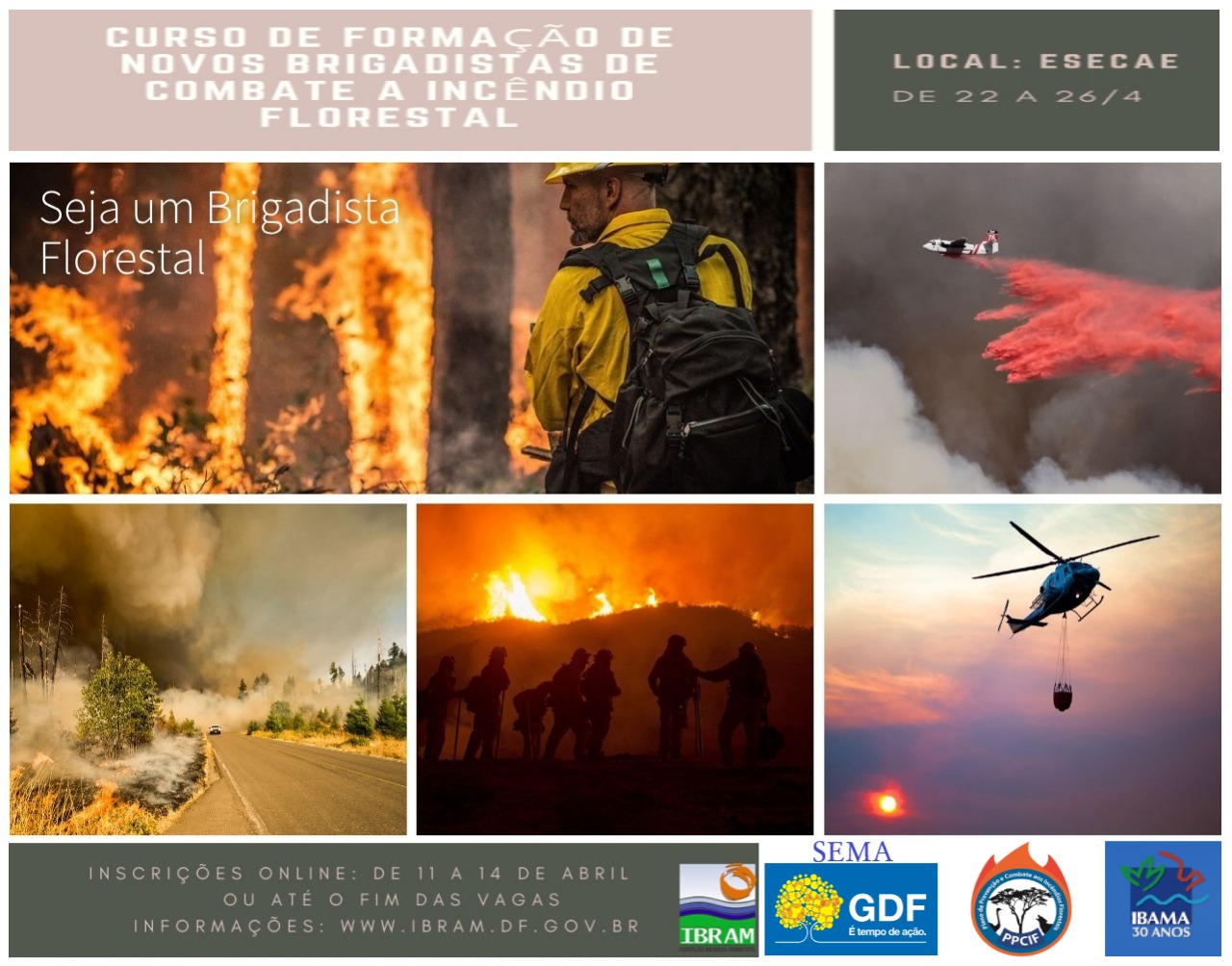 Curso treina brigadistas